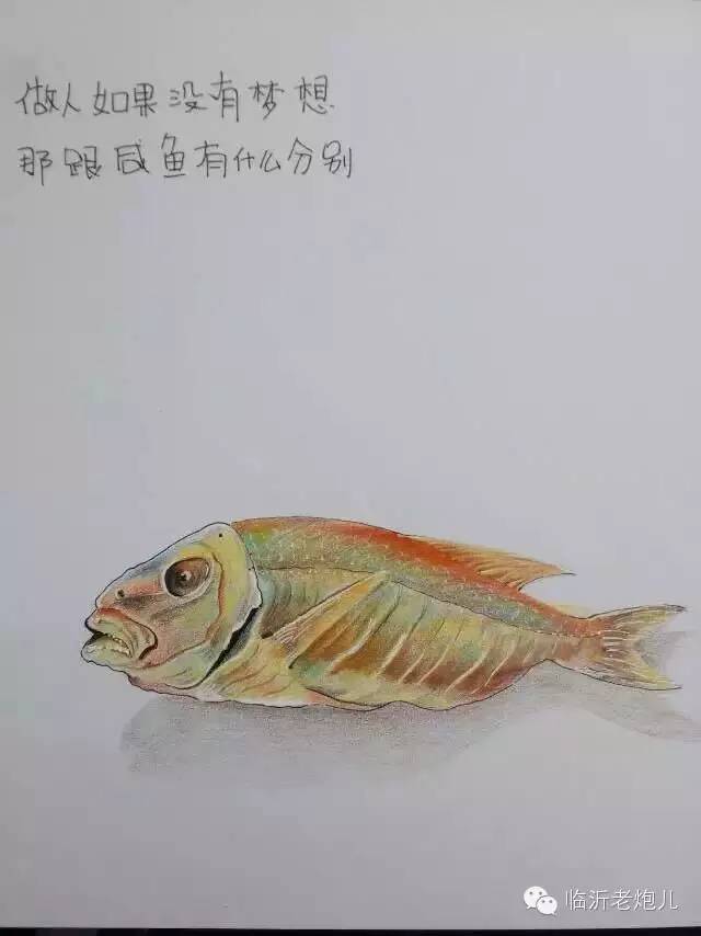 带着书本去旅行绘画,带着旅行箱去旅行绘画