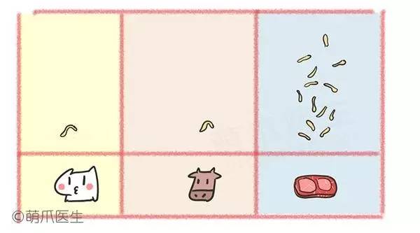 孕妇养狗的心酸经历,养狗怀孕科普