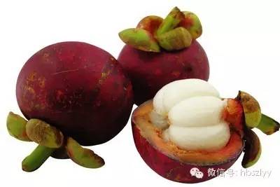 水果上午吃是金下午吃是银,早上水果是金中午水果是银