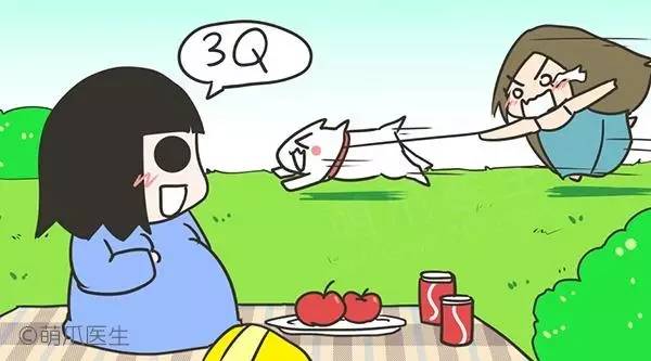 孕妇养狗的心酸经历,养狗怀孕科普