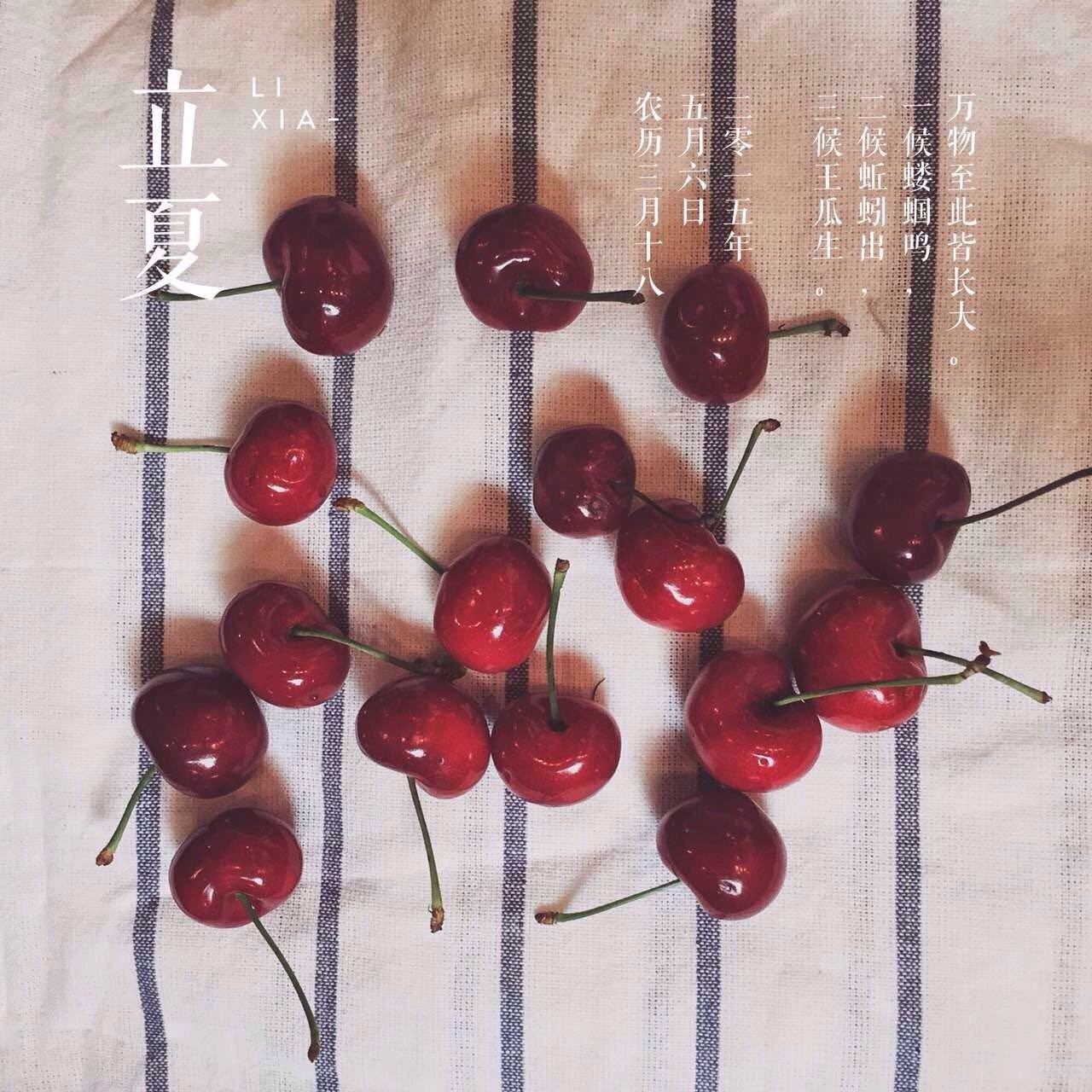 她把眼前的寻常，变成了诗和远方