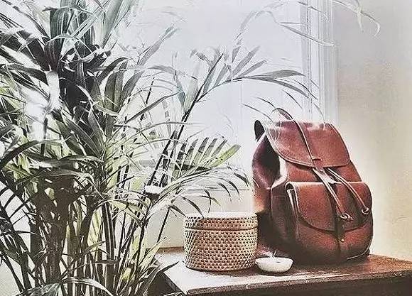 双肩包推荐小众高级感平价百搭,双肩包推荐好看又超实用