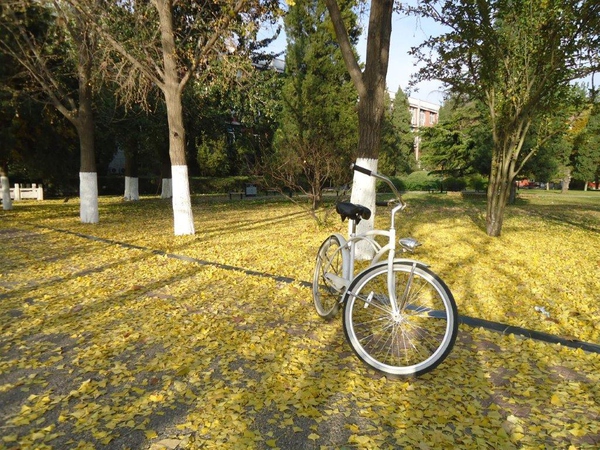 骑单车减脂减肥的正确时间,骑单车减脂效果怎样