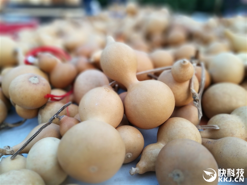 华为手机徕卡标准拍照,华为手机哪款是徕卡镜头