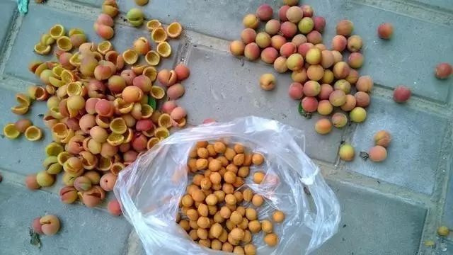 自制漂亮的桃核手串,三圈8mm手串diy制作