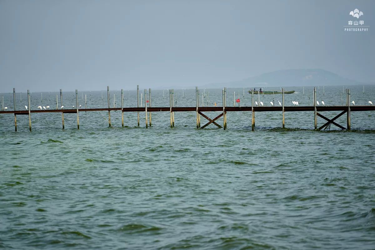 江苏省太湖一座小岛,太湖两个小岛