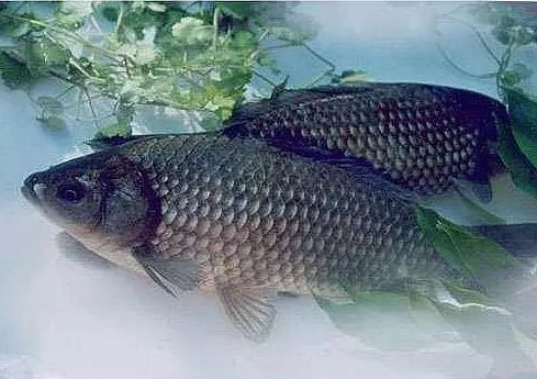 100元左右的江西特产有哪些,江西零食土特产必买清单