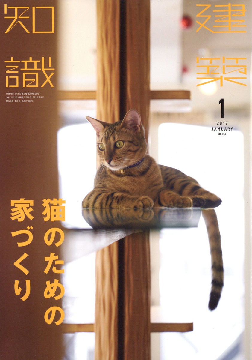 合金青春-Anitama新声