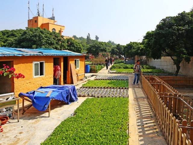 玩转城中山，这条超赞旅行线路拿走不谢！