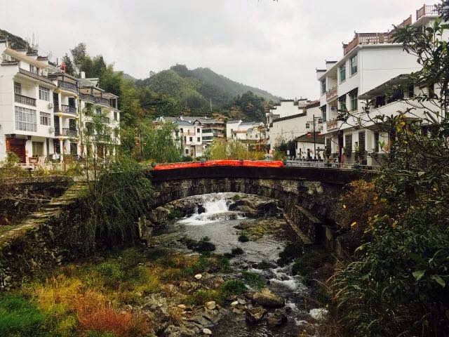 村民一年农家乐收入180万农民玩精品民宿一年100万,看看浙江“走进森林人家”采访活动你会吃惊