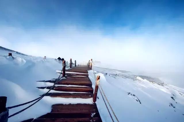 美有很多种自然美才是真正的美,美有很多种分别是什么美