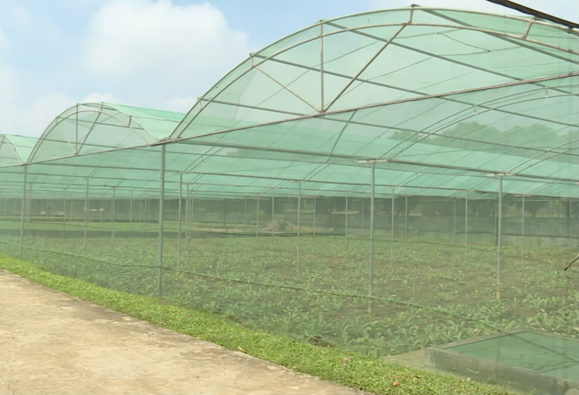 吃咋样？丰盛，健康，营养。舌尖上的保障，越南*队军**做得到，为啥