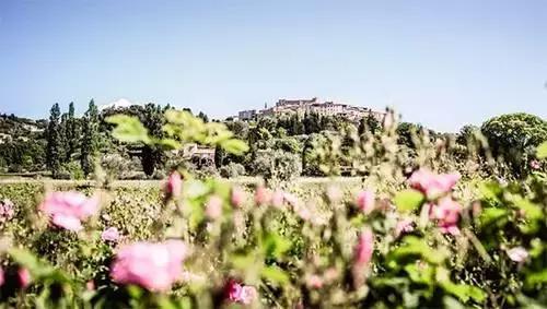 小众香水格拉斯风情,法国格拉斯香水博物馆