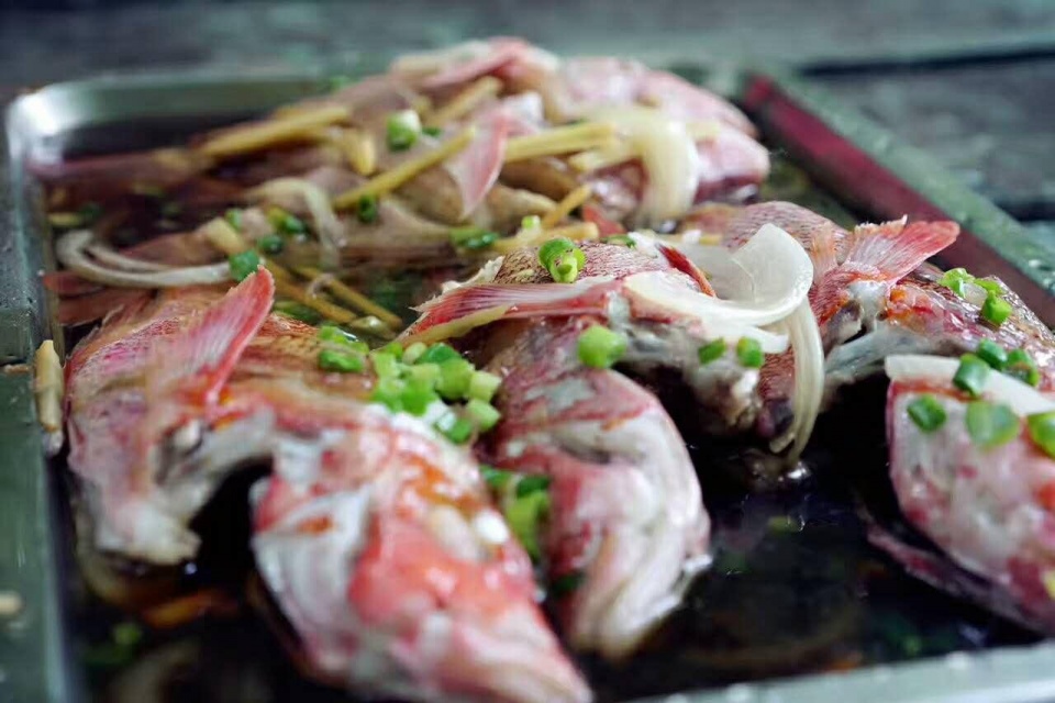 帕劳带小孩旅游攻略,帕劳带小朋友旅游攻略