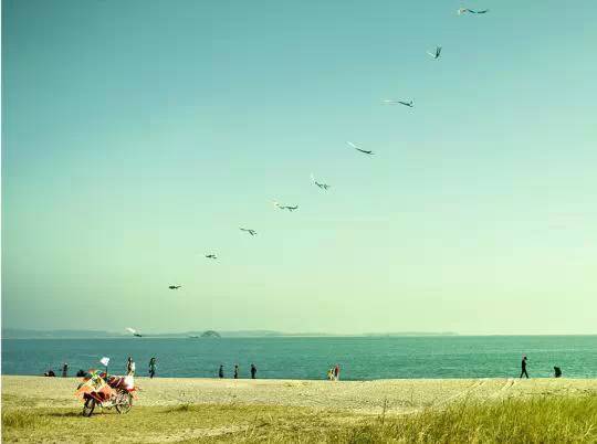 厦门旅游攻略自驾游最佳路线,厦门旅游十大必去景点景区攻略