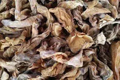 三明超级联赛,中国极限职业联赛将乐站