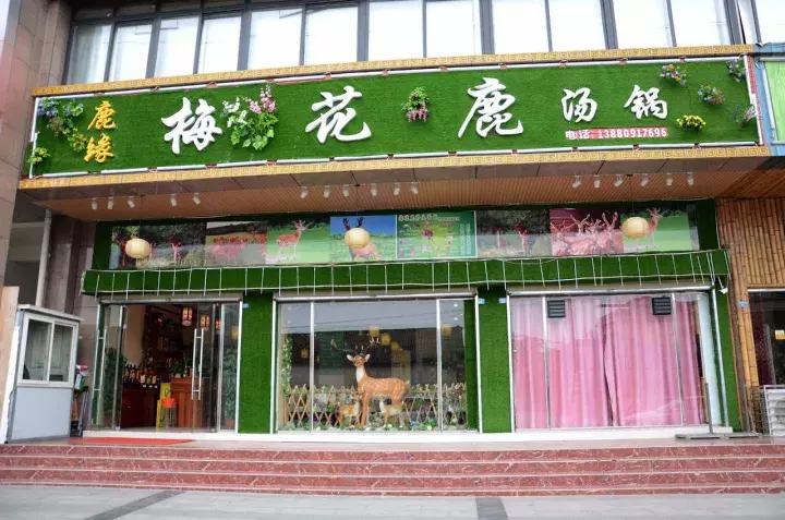 鹿肉冬天滋补汤,滋补鹿肉养生佳品