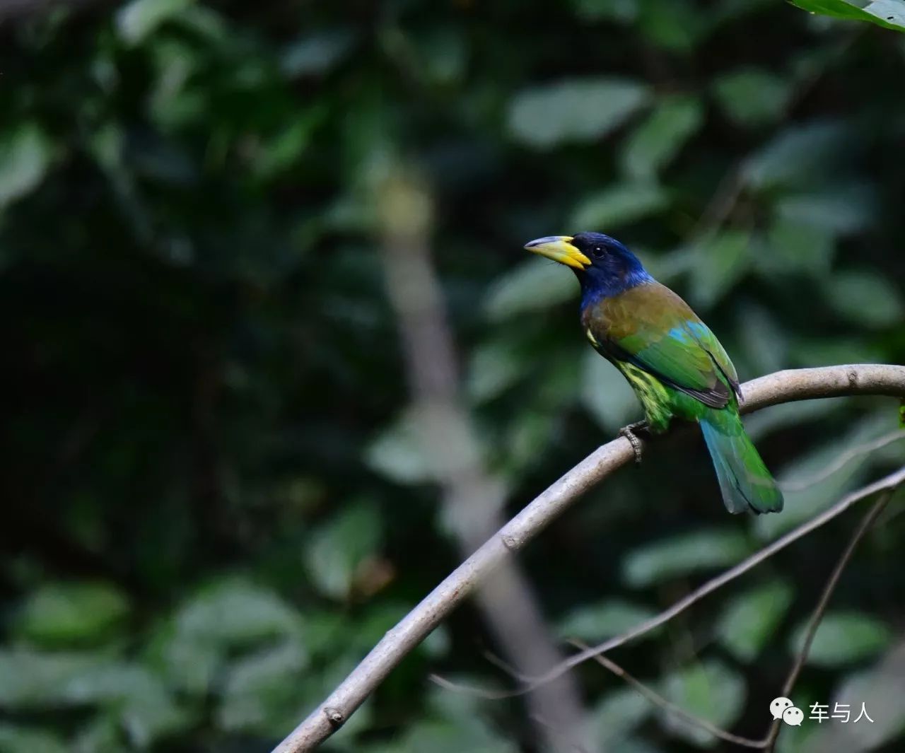 腾冲一个清净古朴的边陲小城,腾冲避暑旅居推荐