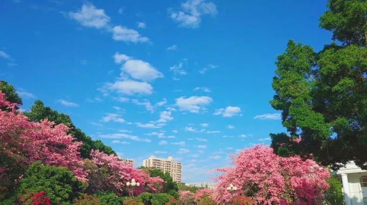 华软科技的趋势,华软科技有多厉害