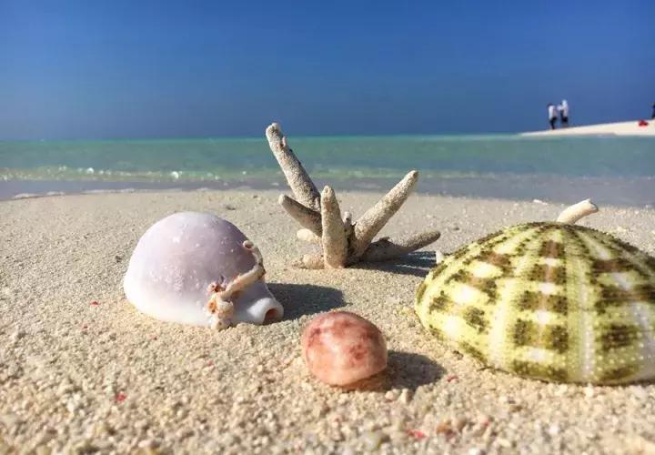 只对中国人开放的岛,只对中国人开放的沙漠