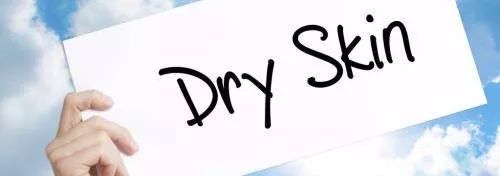 船主卡男推荐-澳洲平价冬季保湿护肤品