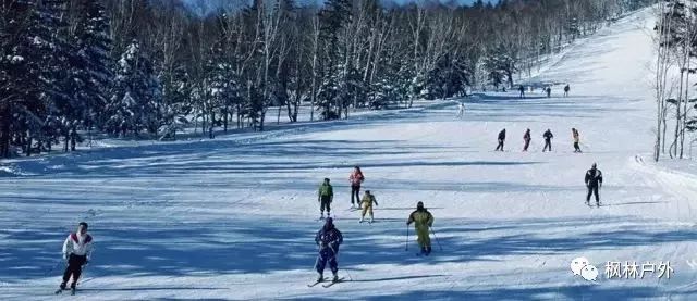 适合现在去的滑雪场,这个冬天一定要来滑雪场游玩