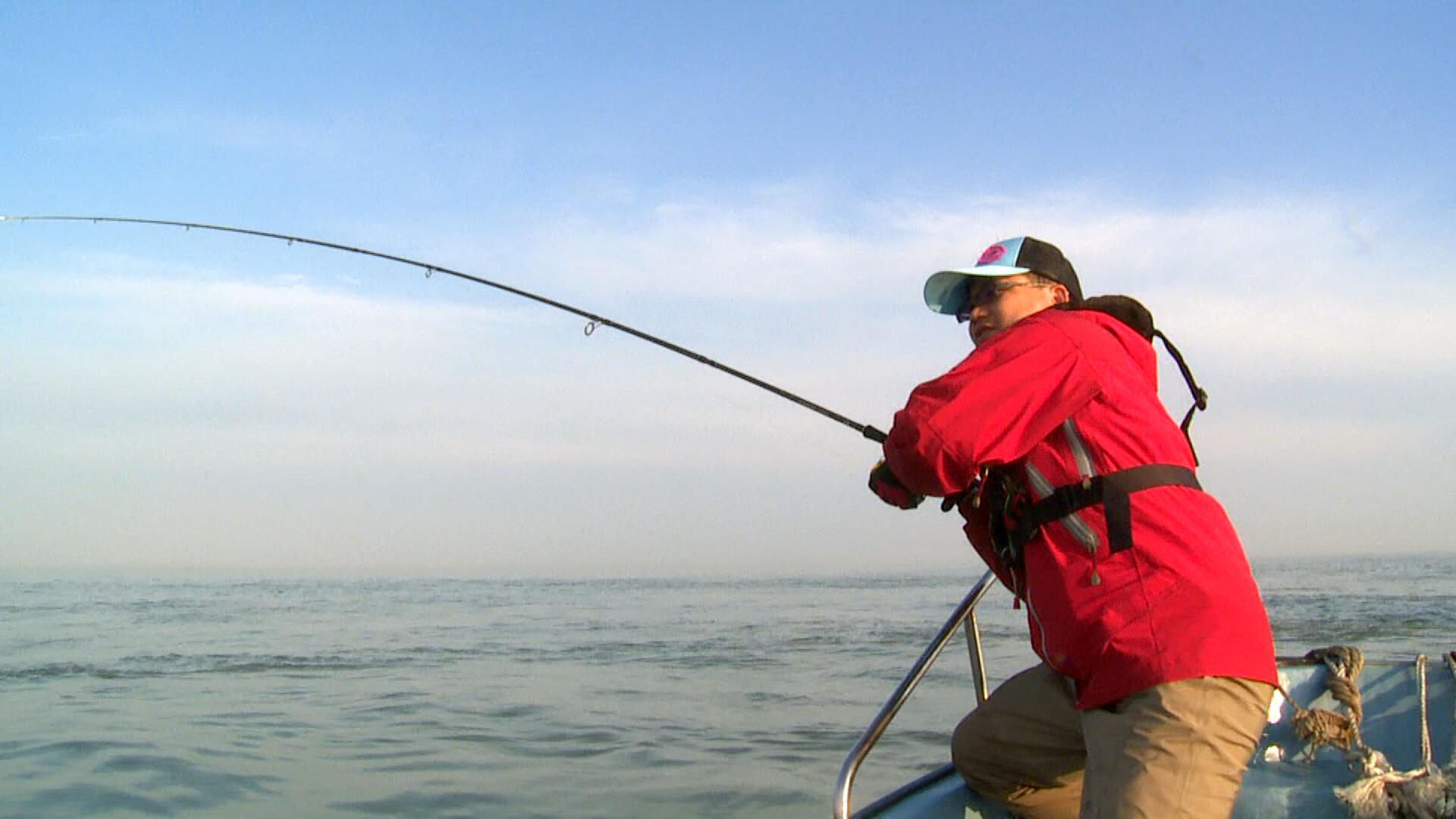 大鲈鱼也有一颗少女心，喜欢粉红色！