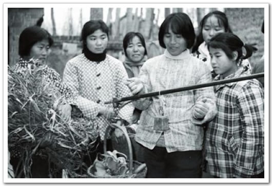 风风火火工作,风风火火干事创业