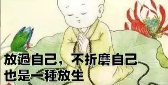 又双叒叕翻拍了!两位新晋小鲜肉你更看好谁?