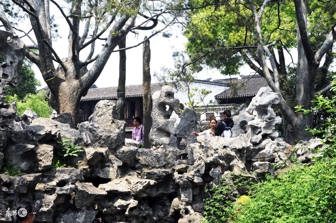 苏州之行圆满结束,苏州网师园游记