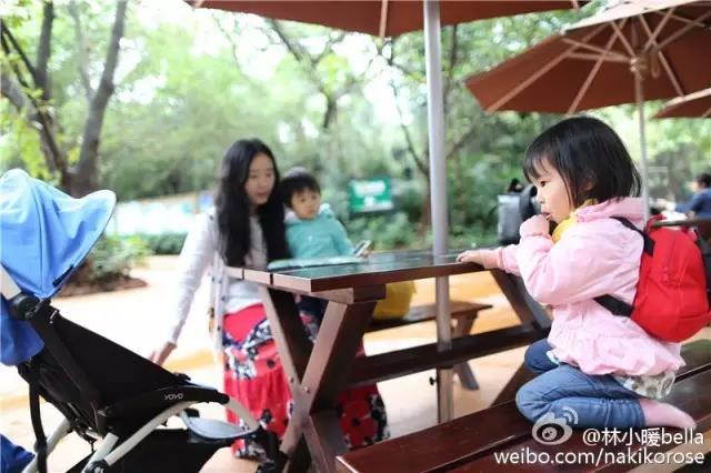 两大一小广州长隆亲子游攻略,最新广州长隆带娃游玩攻略2天