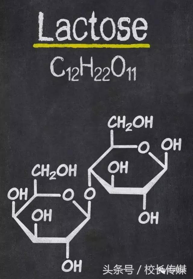 乳糖不耐受腹泻吃什么饭,乳糖不耐受腹泻会脱水吗