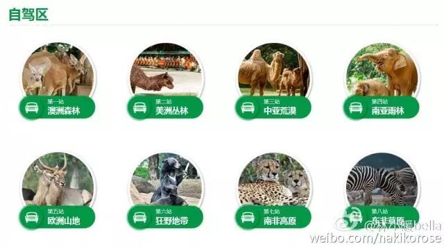 两大一小广州长隆亲子游攻略,最新广州长隆带娃游玩攻略2天