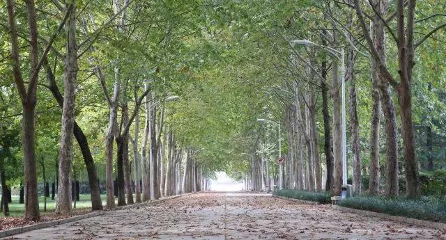 历城二中美术作品,手绘印象城市