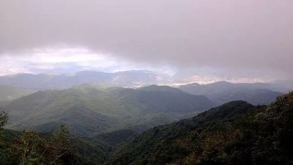 我美丽的家乡弥渡,我的家乡弥渡作文