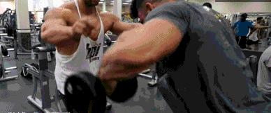 后束肌肉训练方法,后束训练三头发力