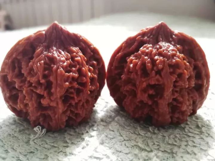 金刚菩提用刷子刷什么意思,拿刷子刷金刚菩提刷子会变色吗