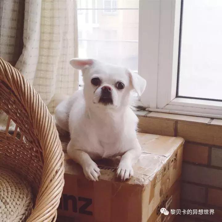 送礼送什么是最好的礼物,给不同人送礼的礼物怎么选