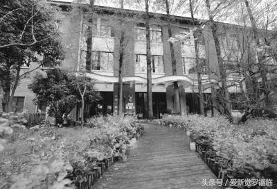 这些曾经是江苏人的苹果、黑方、英菲尼迪……