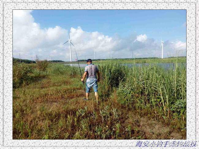 一年四季都可以钓的鱼种,一年四季可钓的鱼种