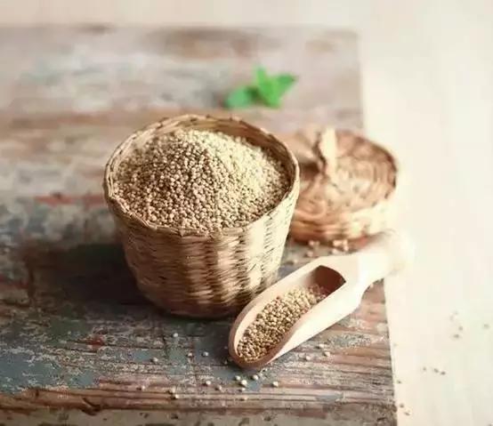 生活必备营养素,生活必备食物