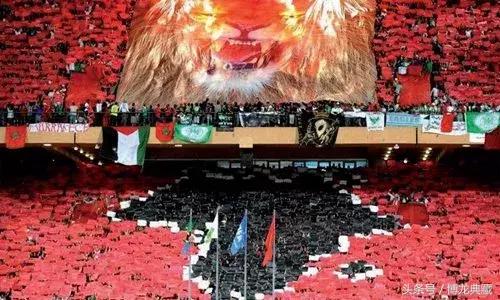 来！聊聊世界杯战场上的“飞禽走兽”们