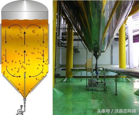 苹果酒的酿造,苹果酒的酿制方法只需记住这5步