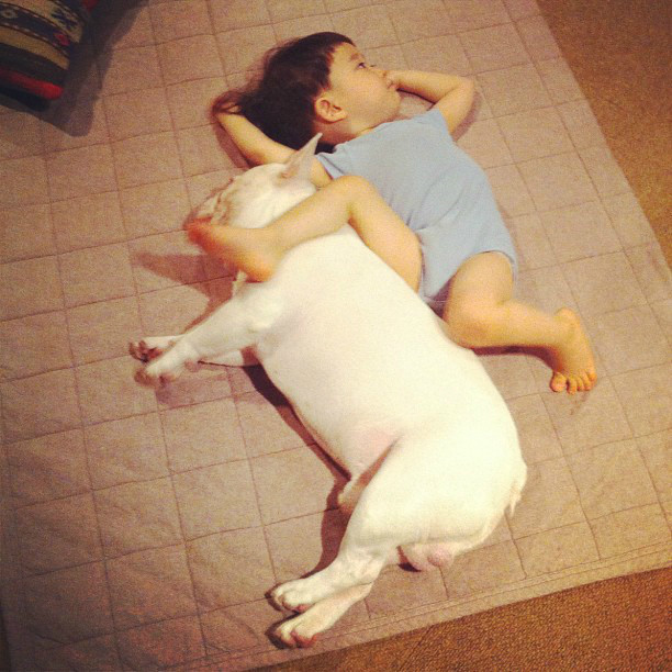 狗狗感冒可以吃速效感冒胶囊吗,狗狗感冒可以吃感冒冲剂吗