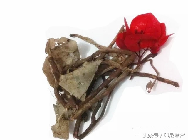 印尼卡琪花蒂玛，“补气血、润女人”