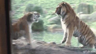 搞笑gif趣图舔冰激凌,少林龙爪手搞笑图片图文