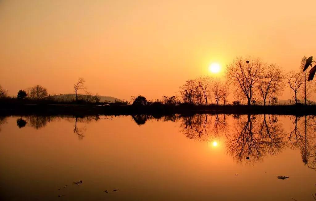 武汉市东西湖区柑橘采摘园,武汉采摘园橘子