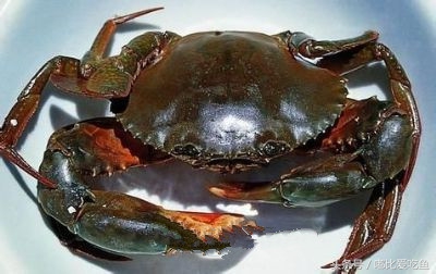 漳州市特产有哪些,漳州的特产有哪些介绍