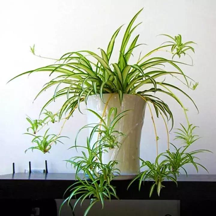 老公身上烟味大怎么去除,老公身上烟味很浓