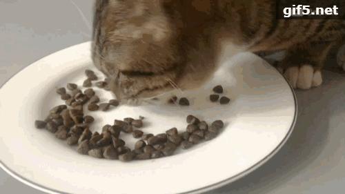 海洋之星superior测评,海洋之心一代真实测评